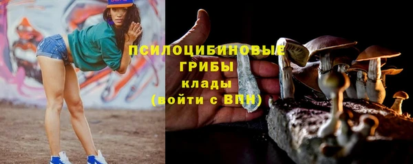 мяу мяу кристалл Богданович