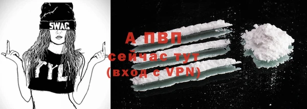 стафф Богородицк