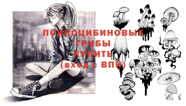 мяу мяу кристалл Богданович