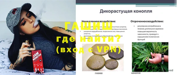 мяу мяу кристалл Богданович