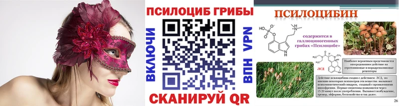 Галлюциногенные грибы Psilocybine cubensis  наркошоп  Нарткала 